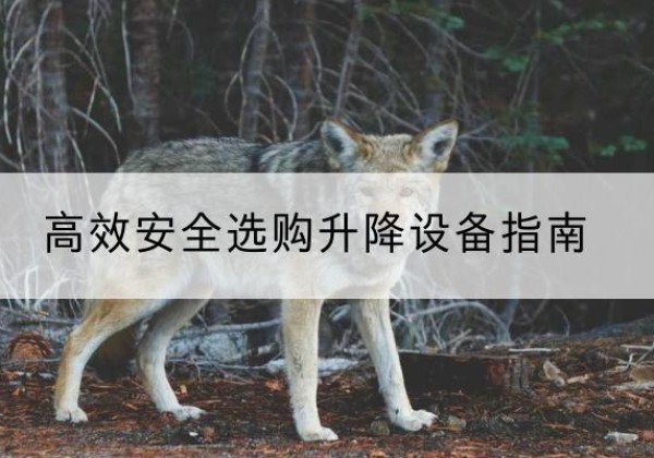 邓州升降货梯厂家推荐-*安全选购升降设备指南