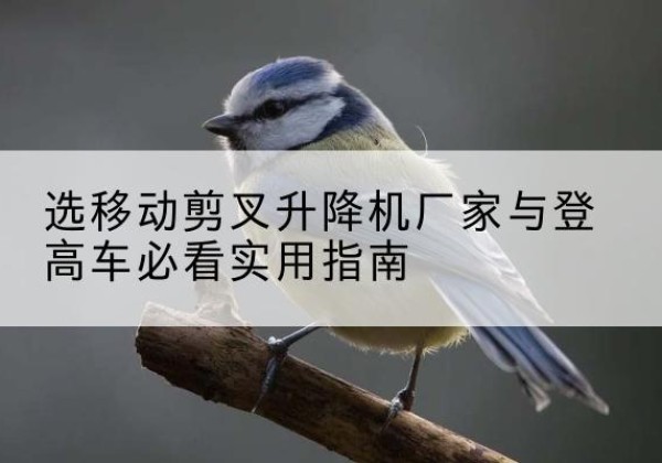 邓州电动升降机厂家-选移动剪叉升降机厂家与登高车必看实用指南