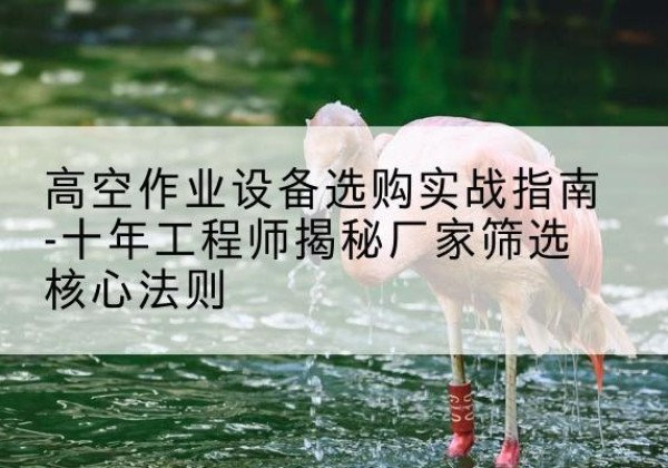 邓州剪叉式升降机厂家-高空作业设备选购实战指南-十年工程师揭秘厂家筛选核心法则